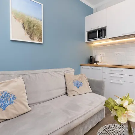 Bright Blue Studio In With Free Access To The Gym By Renters Apartman